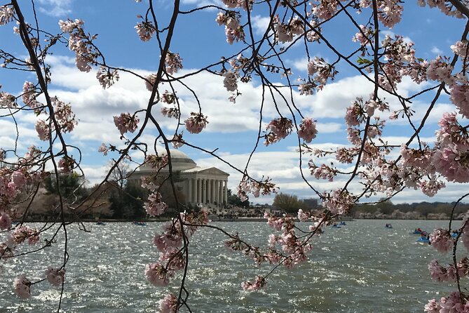 Half-Day Private Guided Bike Tour in Washington - Tour Rating