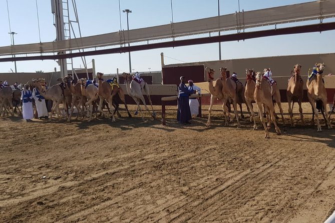 Half-Day Private Guided Camel Race Tour in Qatar - Guided Tour Experience