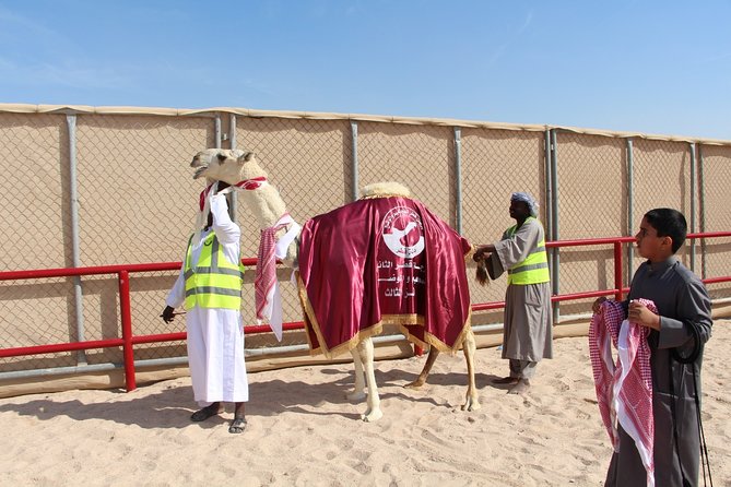 Half-Day Private Guided Camel Race Tour in Qatar - Tour Inclusions