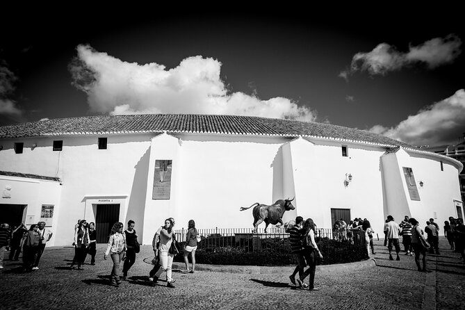 Half-Day Private Guided City Tour in Ronda - Transportation and Accessibility