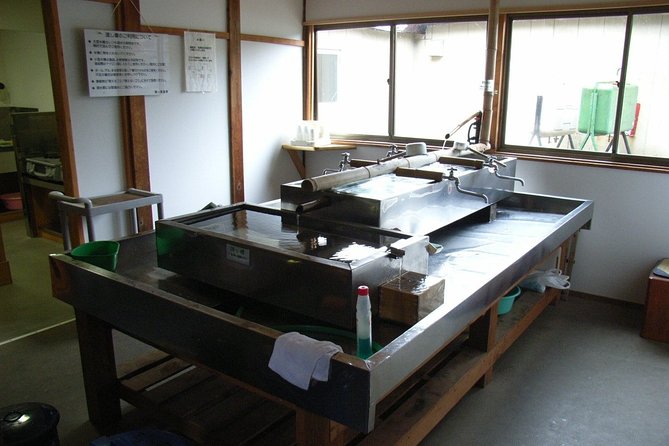 Half-Day Private Guided Japanese Hot Spring Experience - Magical Healing Hot Spring