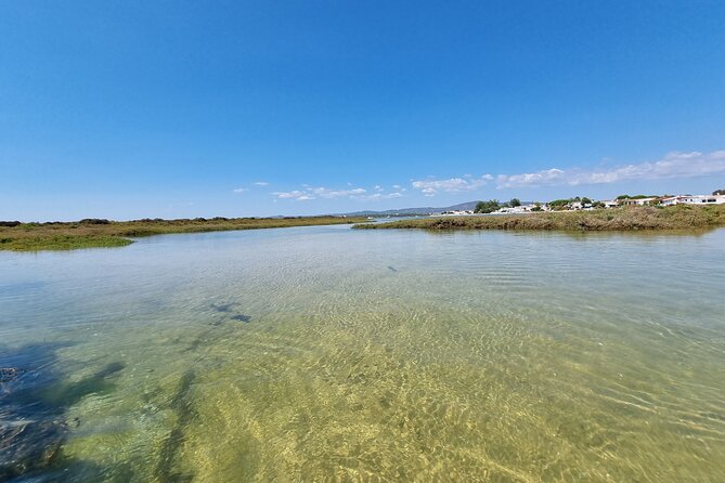 Half-Day Private Guided Kayak Island Tour - Booking Information