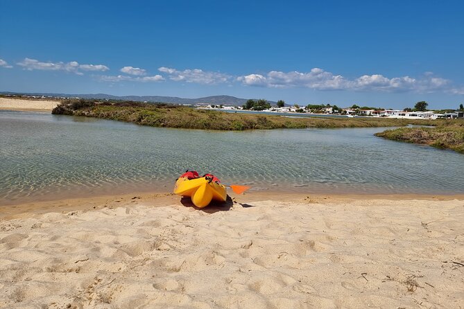 Half-Day Private Guided Kayak Island Tour - Customer Reviews