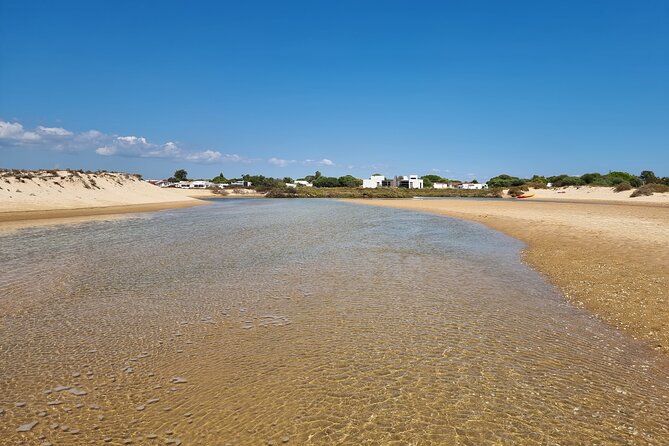 Half-Day Private Guided Kayak Island Tour - Exploring Olhaos Ria Formosa