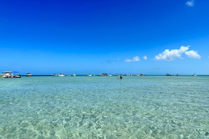 Half-Day Private Guided Key West Snorkeling and Sandbar Tour - Key Points