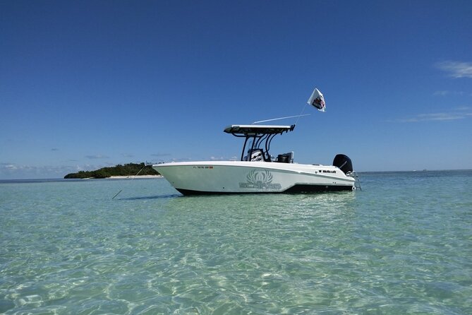 Half-Day Private Guided Key West Snorkeling and Sandbar Tour - Accessibility and Participation