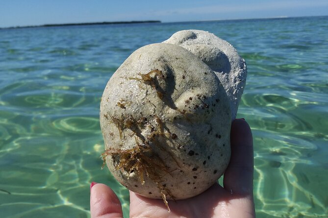 Half-Day Private Guided Key West Snorkeling and Sandbar Tour - About the Provider