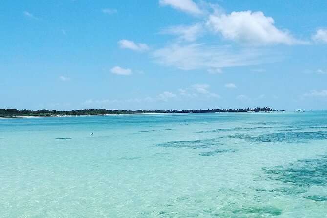 Half-Day Private Guided Key West Snorkeling and Sandbar Tour - Guest Reviews