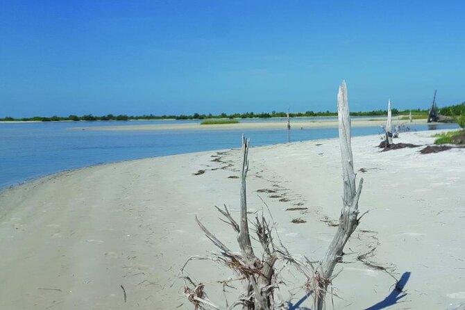 Half-Day Private Guided Nature of Florida's Gulf Coast Eco Tour - Inclusions