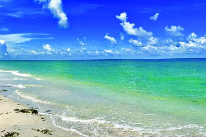 Half-Day Private Guided Nature of Florida's Gulf Coast Eco Tour - Guest Reviews
