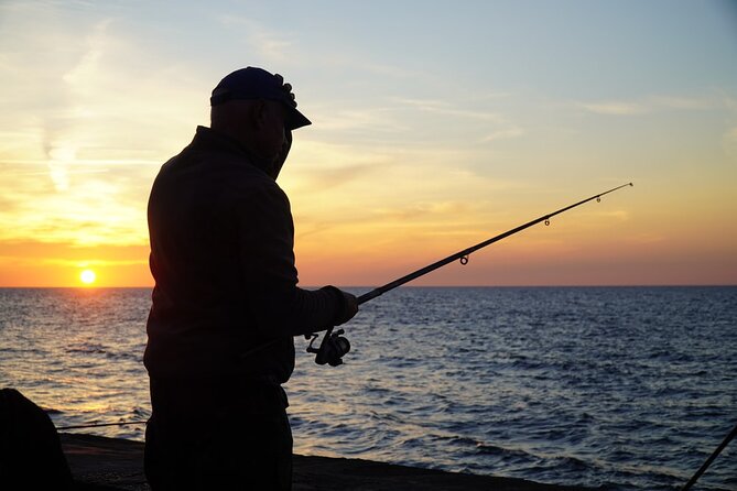 Half-Day Private Guided Nature of Florida's Gulf Coast Eco Tour - Discover Anclote Key Preserve