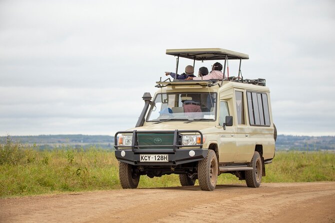 Half-Day Private Guided Safari Tour to Nairobi National Park - Meeting and Pickup Details
