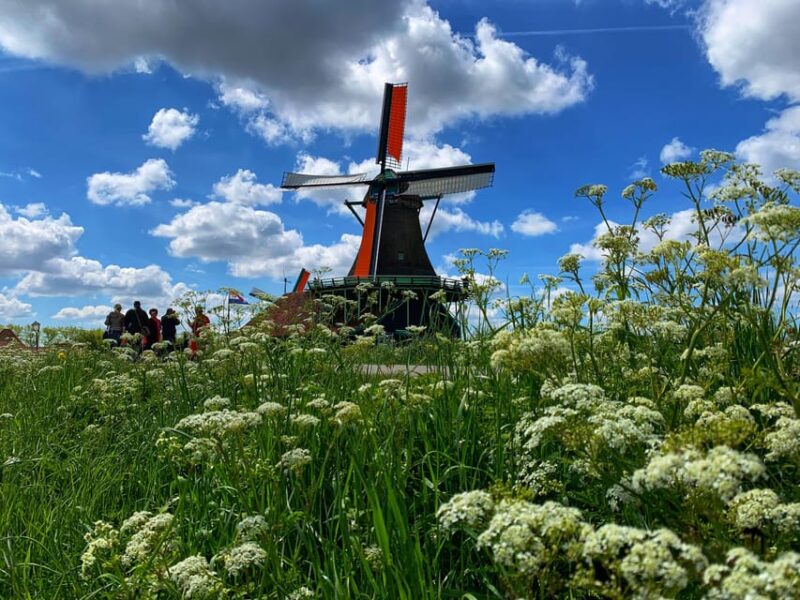 Half-Day Private Guided Sightseeing Tour of Zaanse Schans - Itinerary Highlights