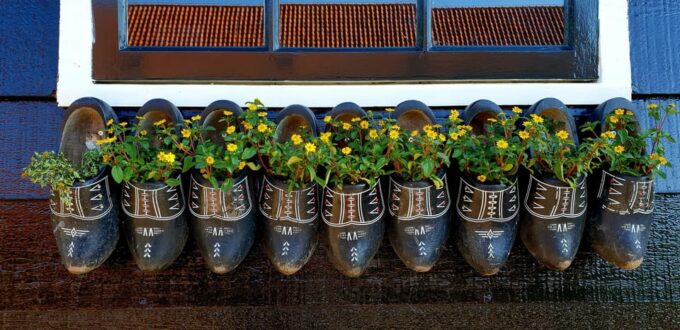 Half-Day Private Guided Sightseeing Tour of Zaanse Schans - Customer Feedback