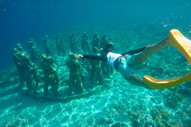 Half-Day Private Guided Snorkeling Turtles Underwater Statues - Turtle Conservation Center
