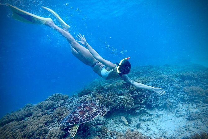Half-Day Private Guided Snorkeling Turtles Underwater Statues - Considerations for Travelers