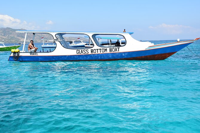 Half-Day Private Guided Snorkeling Turtles Underwater Statues - Booking and Cancellation