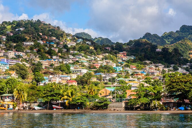 Half Day Private Guided Tour in Kingstown - Tour Experience