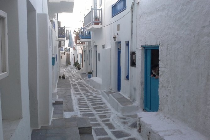 Half-Day Private Guided Tour in Mykonos - Private and Personalized Experience