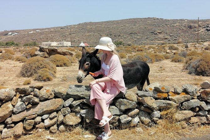 Half-Day Private Guided Tour in Mykonos up to 6 - Guide Experience