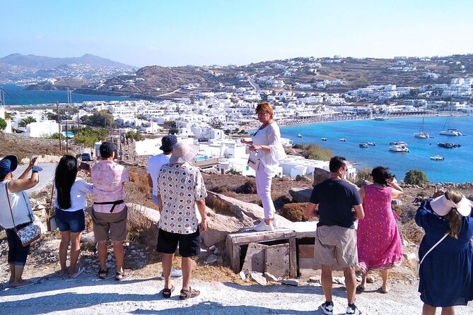 Half-Day Private Guided Tour in Mykonos up to 6 - Scenic Views