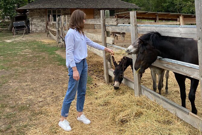 Half-Day Private Guided Tour of Orheiul Vechi and a Farmhouse - Accessibility and Participation