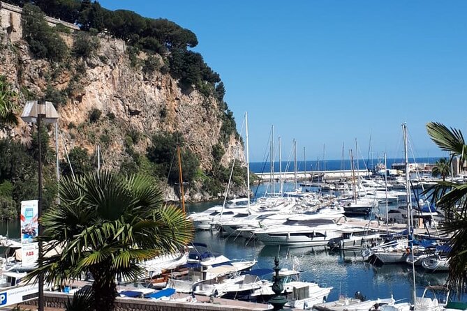 Half-Day Private Guided Tour of the French Riviera - Iconic Locations and Hidden Gems