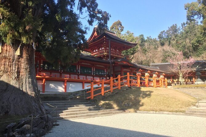 Half-Day Private Guided Tour to Nara City - Meeting and Pickup Details