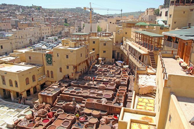 Half-Day Private Guided Walking Tour Of Fez Medina - Meeting and Pickup