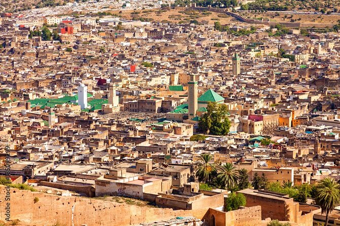Half-Day Private Guided Walking Tour Of Fez Medina - Exploring the Medina