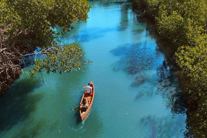 Half-Day Private Los Haitises Caves and Mangroves Canoe Tour - Accessibility and Fitness