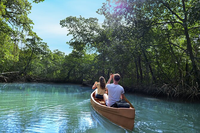 Half-Day Private Los Haitises Caves and Mangroves Canoe Tour - Pricing and Cancellation