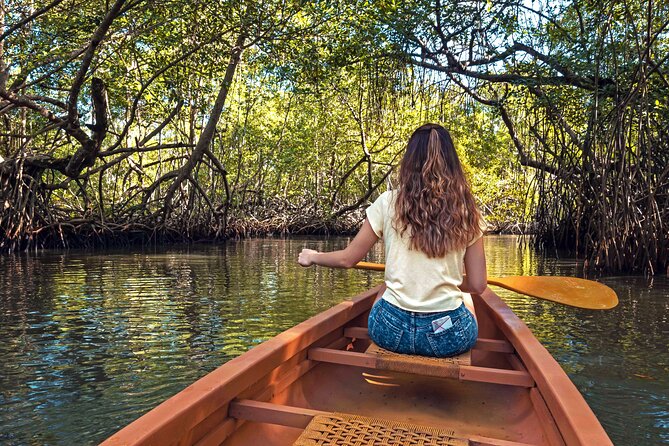 Half-Day Private Los Haitises Caves and Mangroves Canoe Tour - Alternative Options