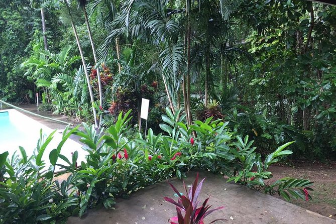 Half-Day Private Martha Brae Rafting Tour From Montego Bay - Tour Operator Information