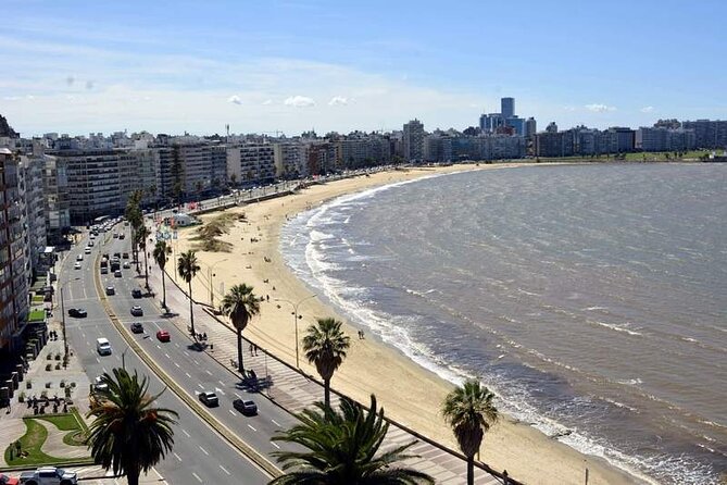 Half Day Private Montevideo City Tour - Key Points