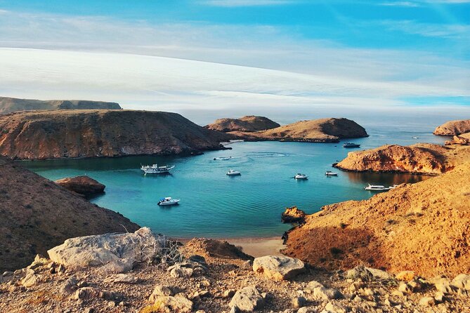 Half-Day Private Muscat City Tour - Pricing