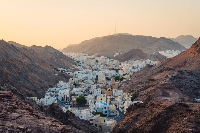 Half-Day Private Muscat City Tour - What to Expect