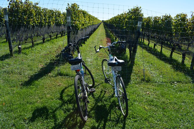 Half Day Private North Fork Bike Tour Thru Wine Cntry in Matituck - Exploring the North Fork