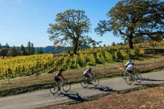 Half Day Private North Fork Bike Tour Thru Wine Cntry in Matituck - Herb and Vinegar Tastings