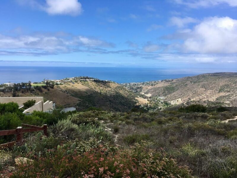 Half-day Private Orange County Beaches Highlights Tour. - Highlights and Experience