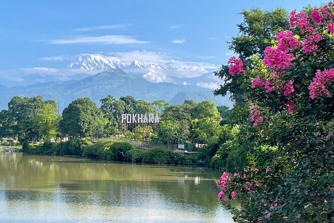 Half-Day Private Pokhara Tour - Customer Reviews and Feedback
