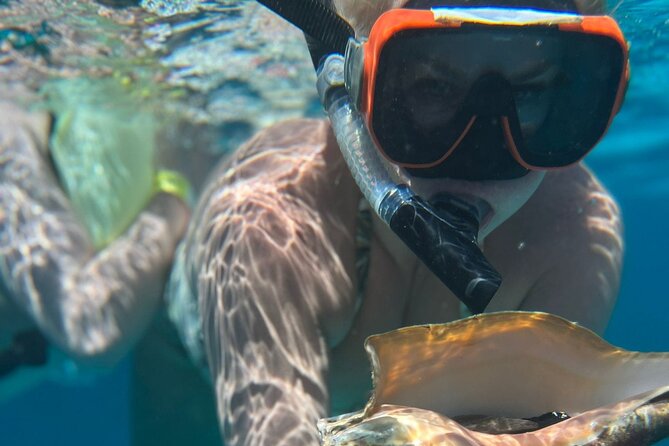 Half-Day Private Roatan Nature Park, Snorkeling, and Beach Tour - Meeting and Pickup Details