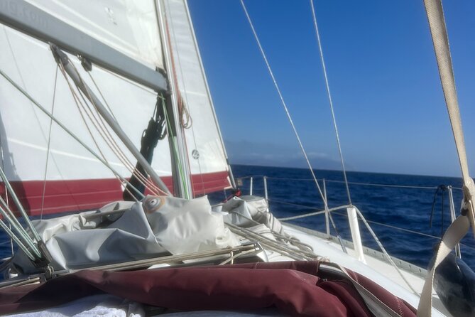 Half Day Private Sailing Cruise in Santorini Island up to 6 Pax - Gourmet Dining Onboard