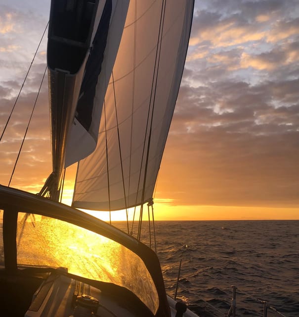 Half-day Private Sailing Yacht Experience in Tavira - Tour Highlights