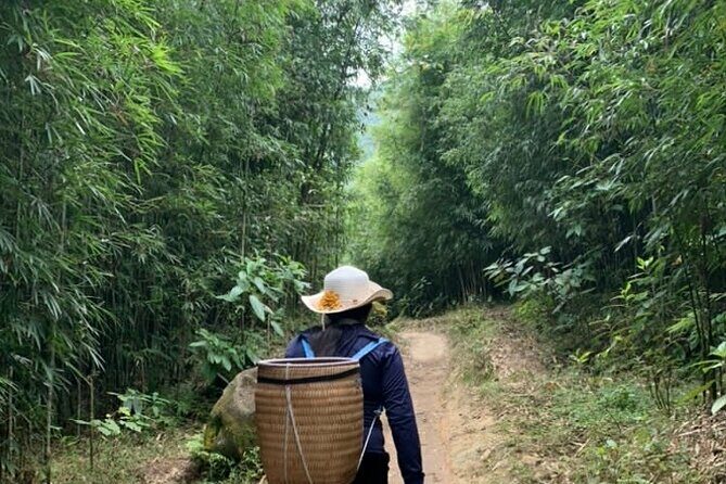 Half Day Private Sapa Trekking and Rural Village Tour in Lao Cai - A Closer Look at the Itinerary
