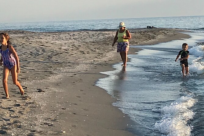 Half-Day Private Sarasota Charter Tour With Wildlife Watching - Meeting and Pickup
