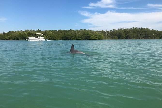 Half-Day Private Sarasota Charter Tour With Wildlife Watching - Captain Certifications