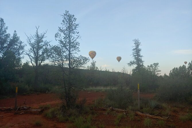 Half-Day Private Scenic Tour of Sedona - Schedule