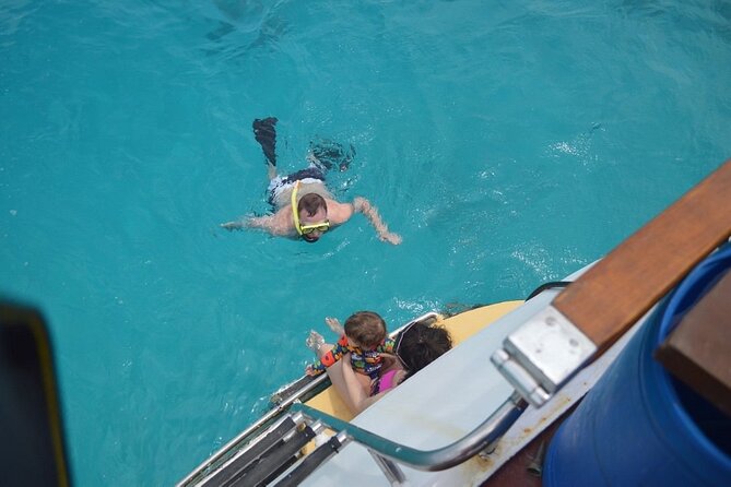 Half Day Private Snorkeling Experience in Aruba BYOFD - Transportation and Location