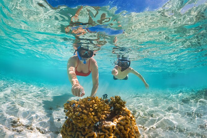 Half Day Private Snorkeling Tour in Maafushi Island - Booking and Cancellation Policies